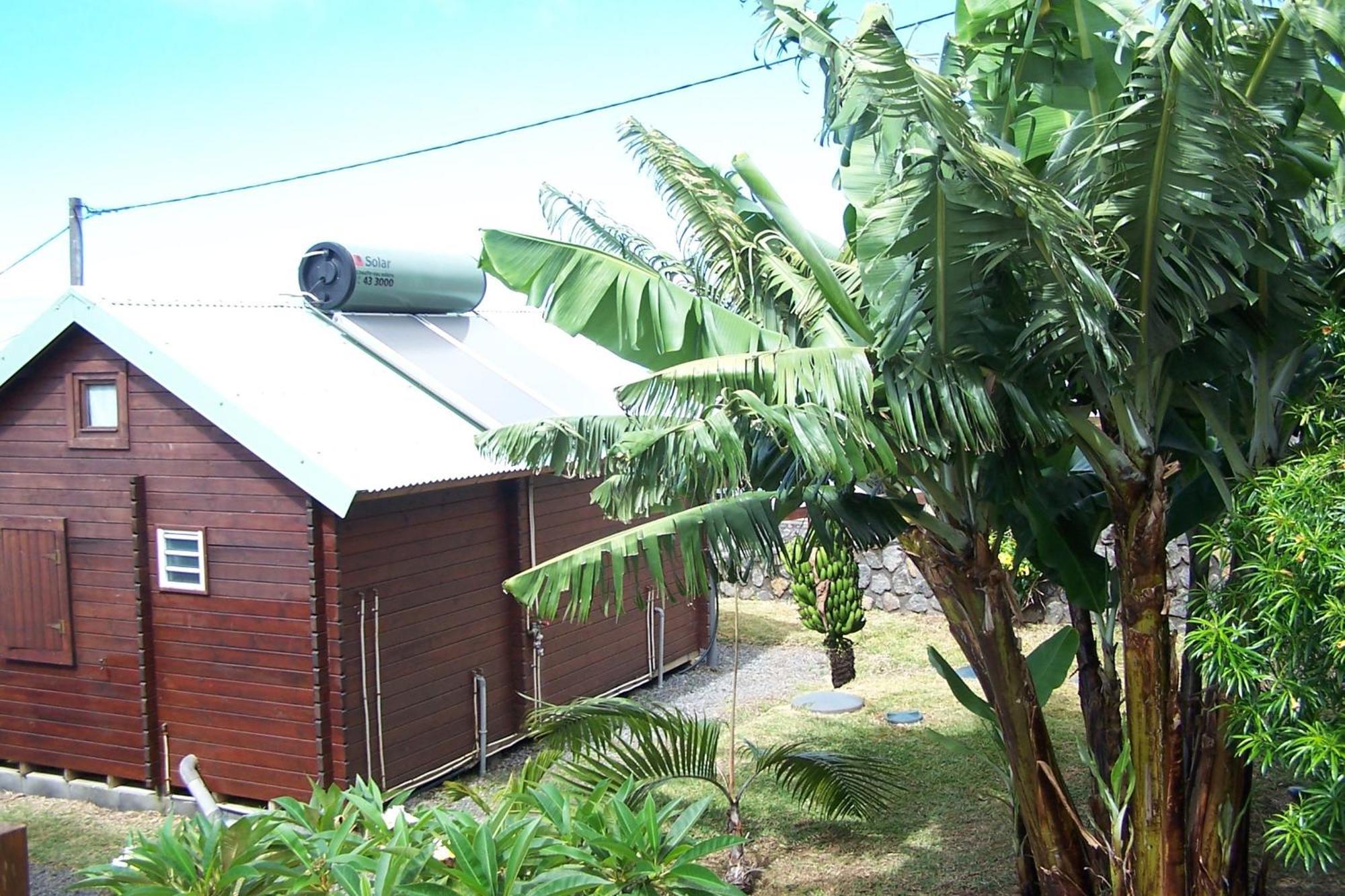 Les Bungalows Les Vanilliers, Sud Sauvage Avec Piscine Saint-Joseph Rum bild