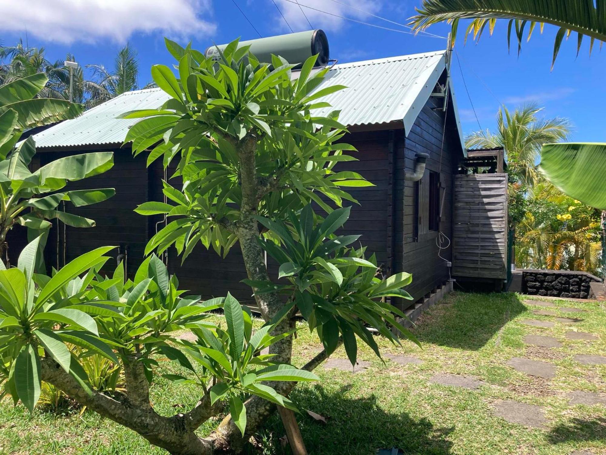Les Bungalows Les Vanilliers, Sud Sauvage Avec Piscine Saint-Joseph Exteriör bild