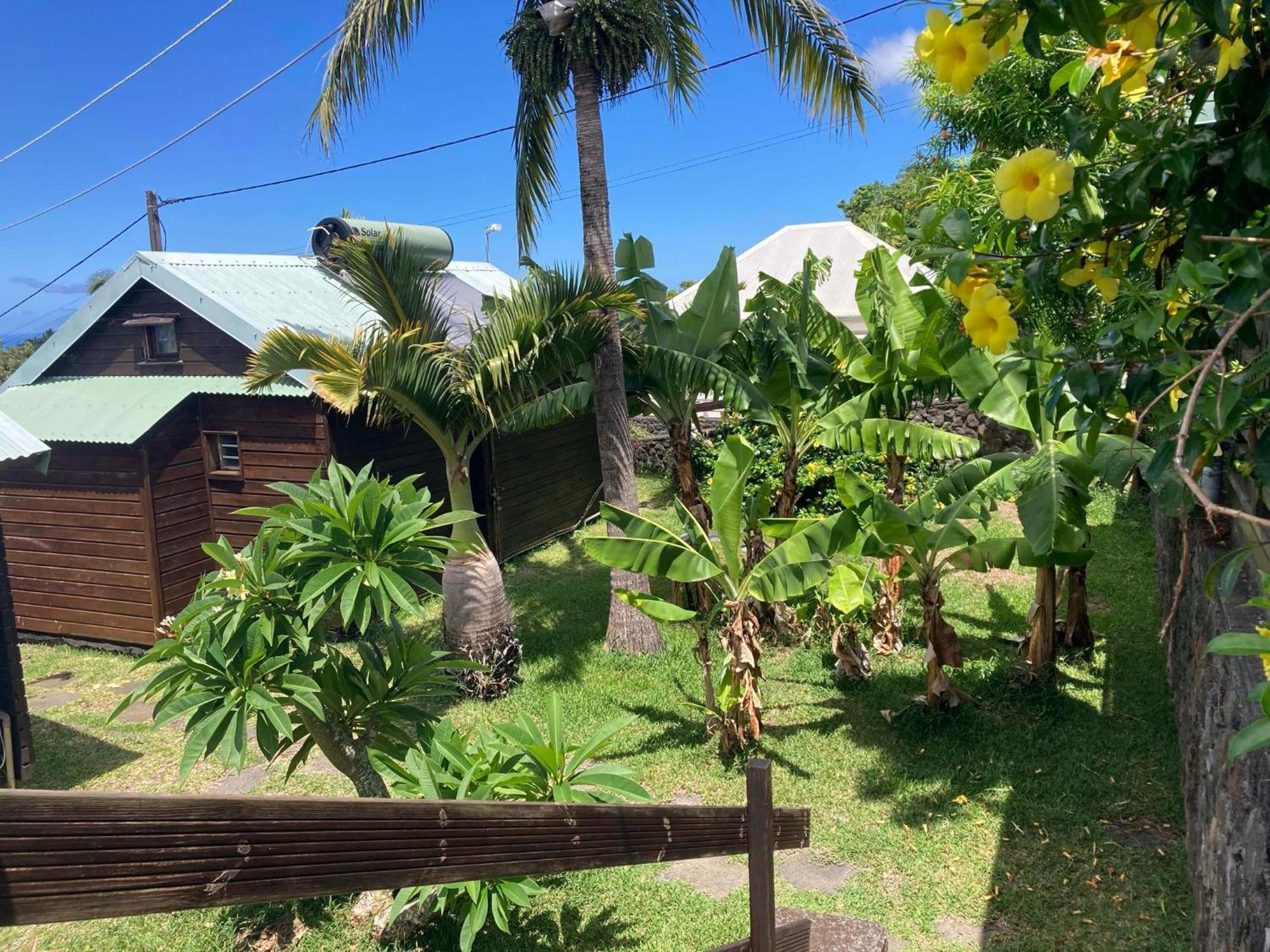 Les Bungalows Les Vanilliers, Sud Sauvage Avec Piscine Saint-Joseph Exteriör bild